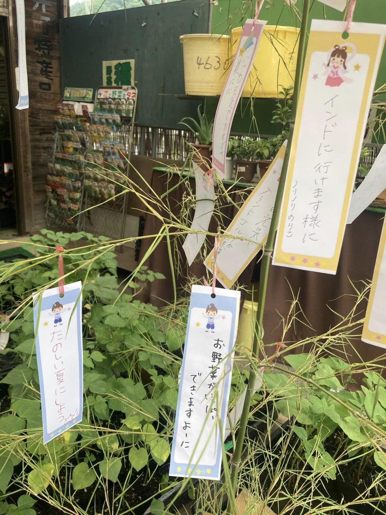 七夕！短冊に願い事！
