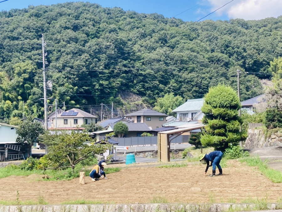 畑は神社の前!聖域!!